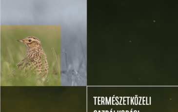 Gazdálkodás Natura 2000 gyepterületeken