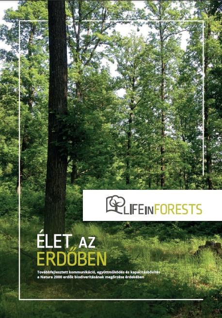 Élet az Erdőben