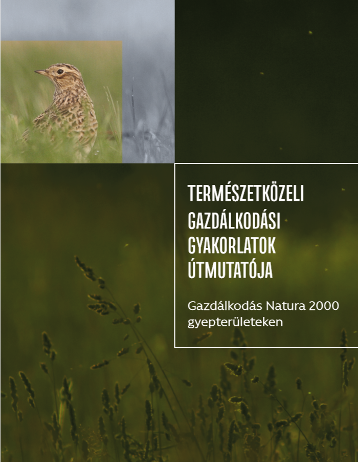 Gazdálkodás Natura 2000 gyepeken borító